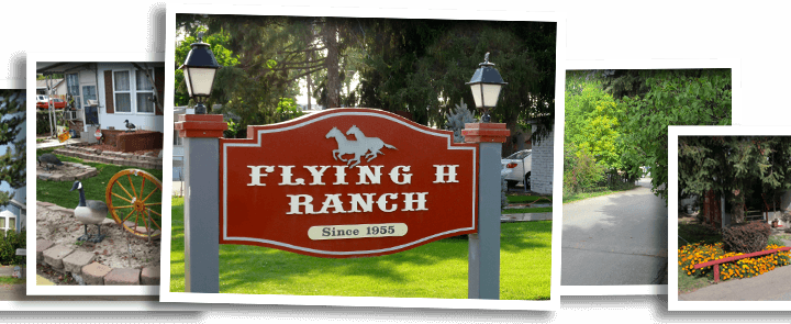 Welcome to the Flying H Ranch