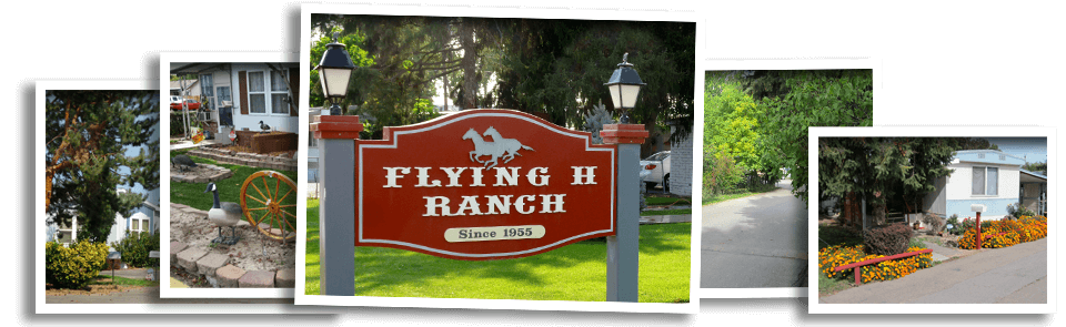 Welcome to the Flying H Ranch